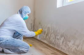 Best Real Estate Mold Inspection  in Manorville, NY