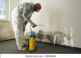 Environmental Consulting for Mold Prevention in Manorville, NY